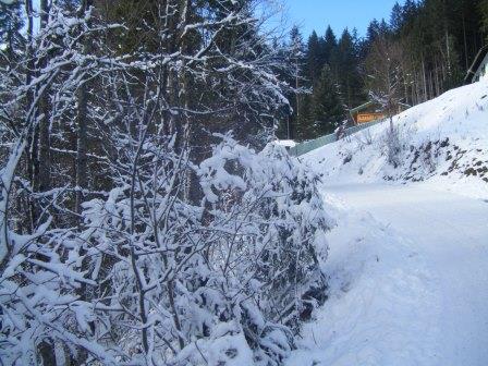 35_2018-12-28 13-47-07.JPG